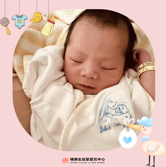 螢幕擷取畫面 2026-06-12 113656