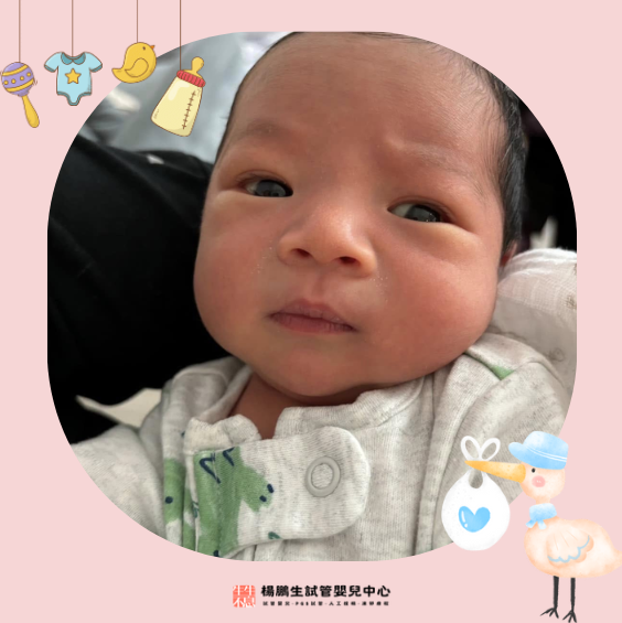 螢幕擷取畫面 2026-06-12 113949