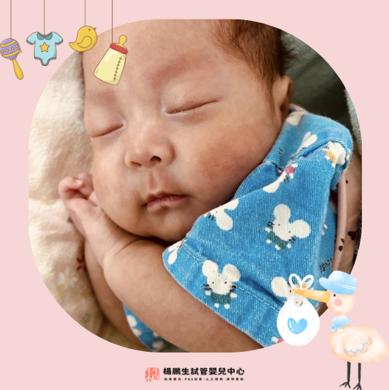 螢幕擷取畫面 2026-06-12 114216